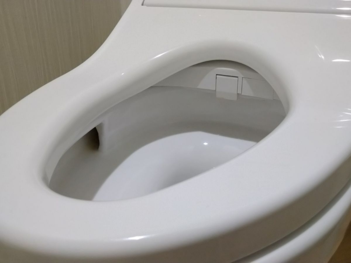 변기 시트