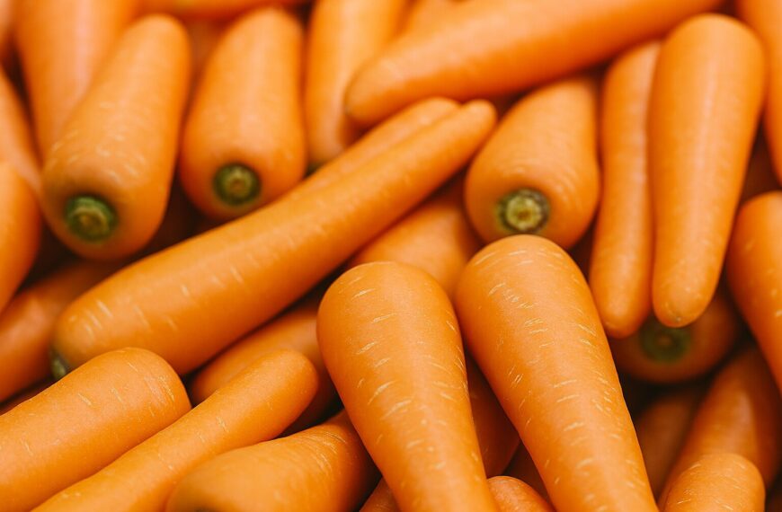 당근 올바른 보관법