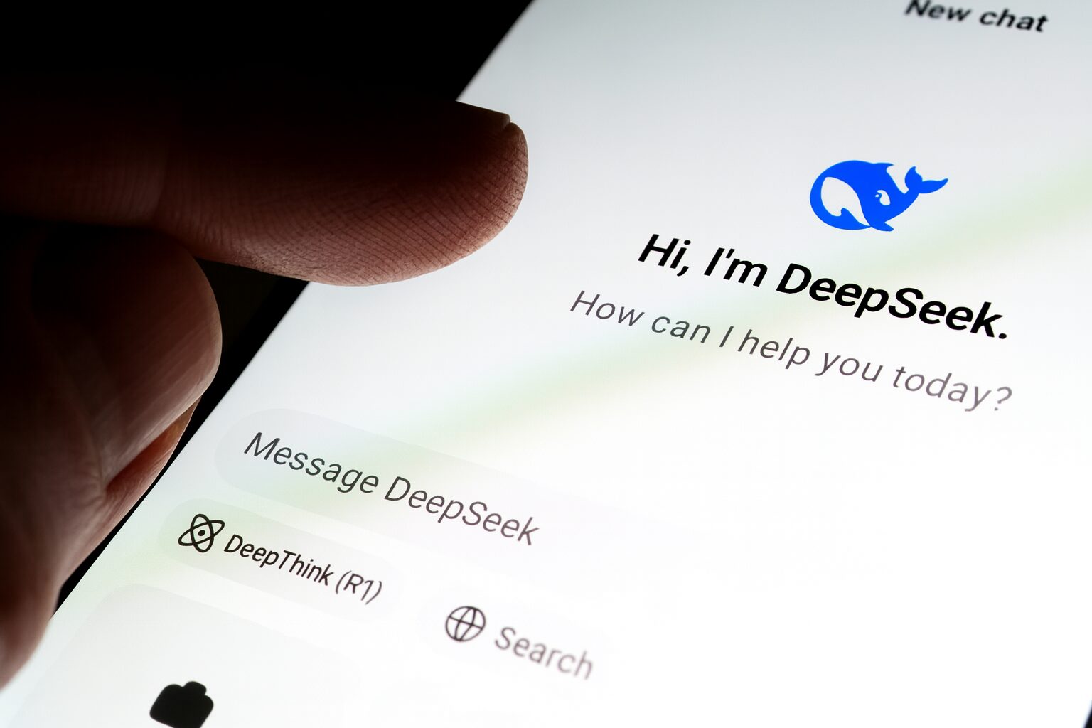 DeepSeek V3.1