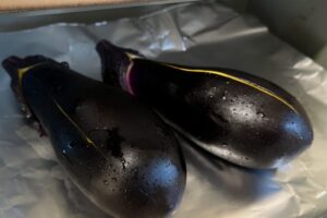Read more about the article 치즈 가지 요리 레시피｜오븐으로 간단하게 만드는 특별한 반찬