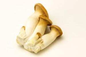 Read more about the article 새송이버섯 밑동은 어디까지 잘라야 할까?