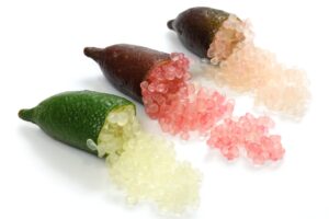 Read more about the article 핑거라임이 뭐길래? 톡톡 터지는 캐비어 과일의 맛과 먹는 법