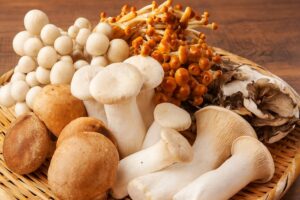 Read more about the article 버섯 건강에 좋지만… 먹으면 안 되는 사람도 있다?
