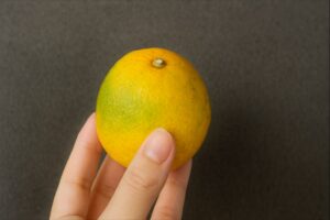 Read more about the article 신맛 강한 귤 맛있게 먹는 법 – 굽거나 데우면 더 달콤하게