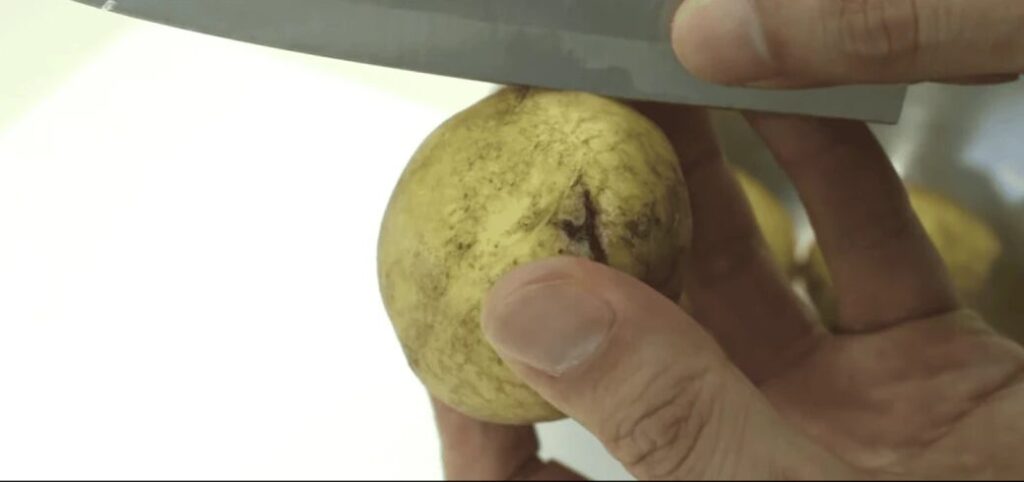 포인트는 삶기 전에 감자에 한 줄