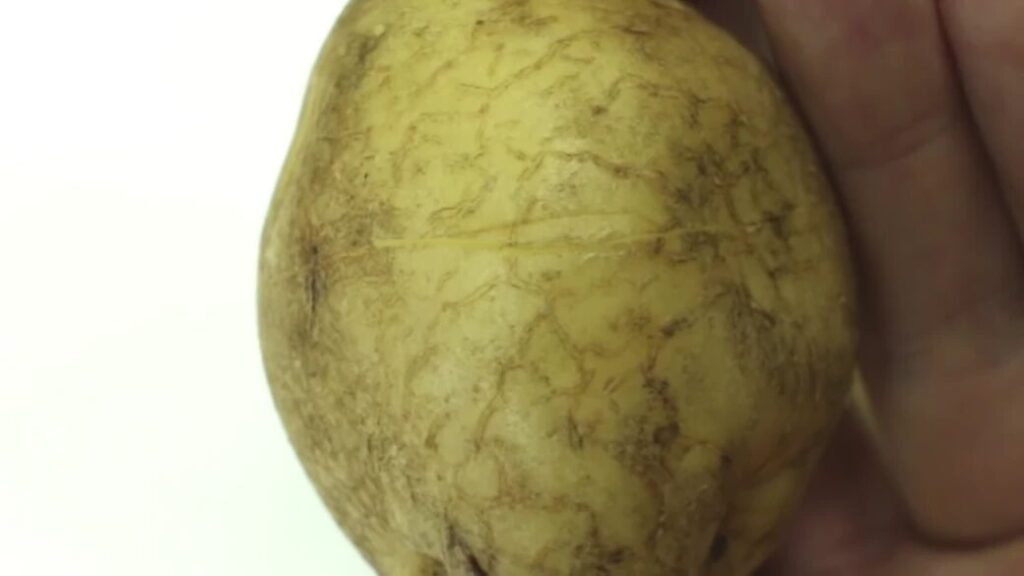 2. 준비한 감자 전체에 같은 방식으로 칼집 추가