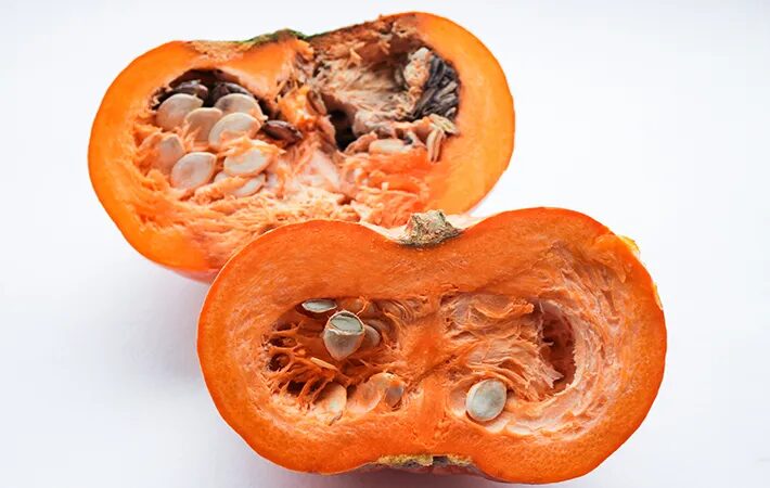 색과 모양으로 구분하는 단호박 곰팡이 3종류