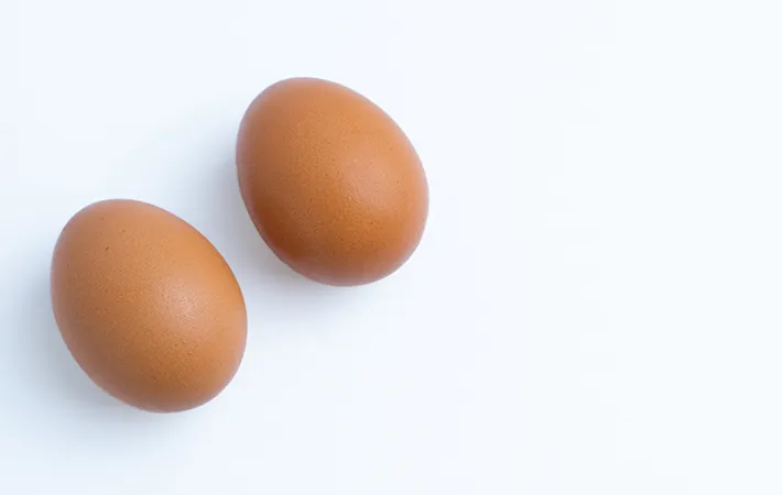 신선한 달걀을 고르는 법