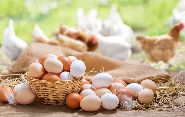 따라서 유통기한이 지났더라도