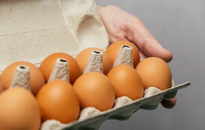 달걀의 유통기한과 섭취 가능 기간