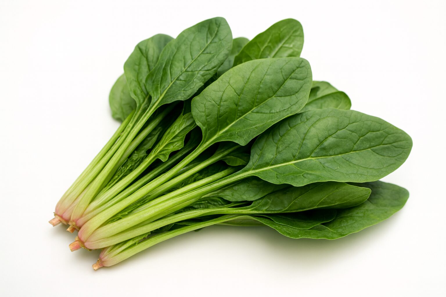 시금치 고르는 법