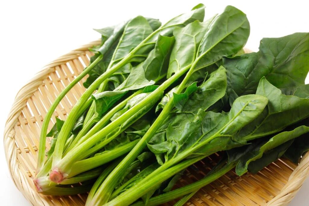 잎의 색이 연두색에 가깝다면 내려놓는다