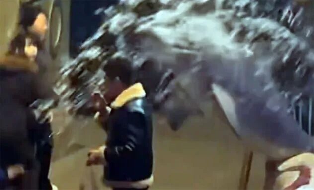 금연 구역 흡연자의 최후, 벨루가의 '사이다' 참교육