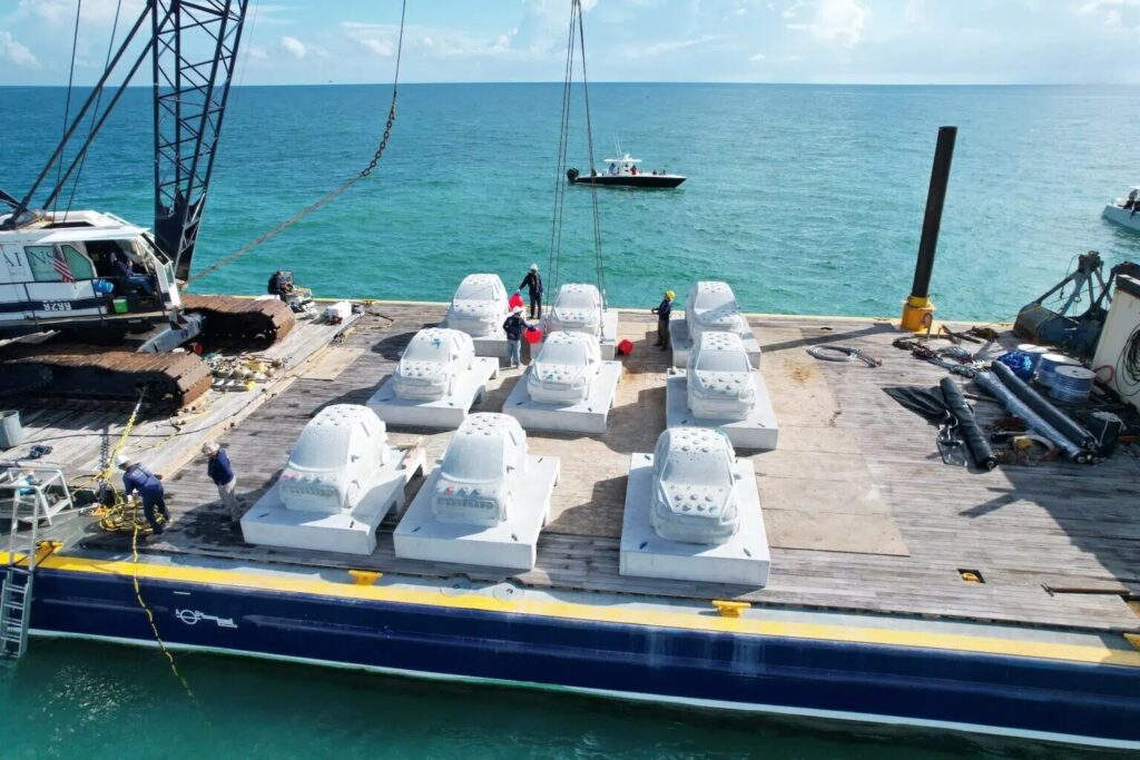 리프라인, 11km에 걸친 수중 예술의 미래