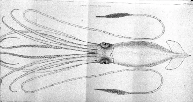 집 거실에서 욕조 가장자리에 걸어 촬영하다