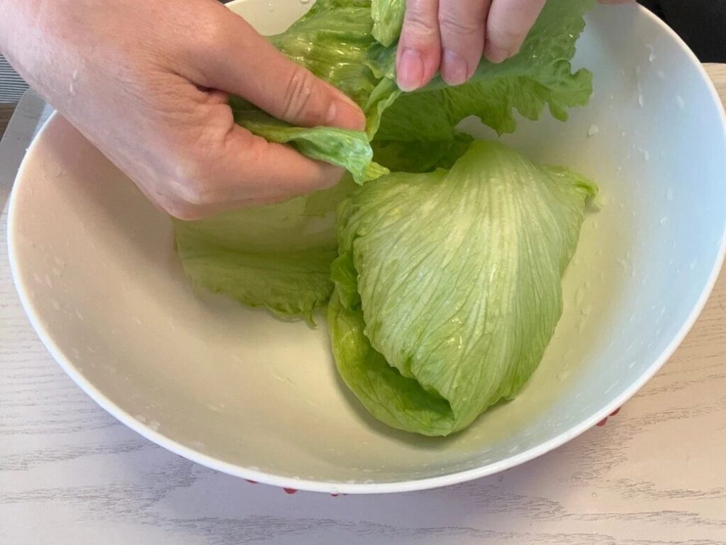 양상추, 칼을 대는 순간 식감은 죽는다?