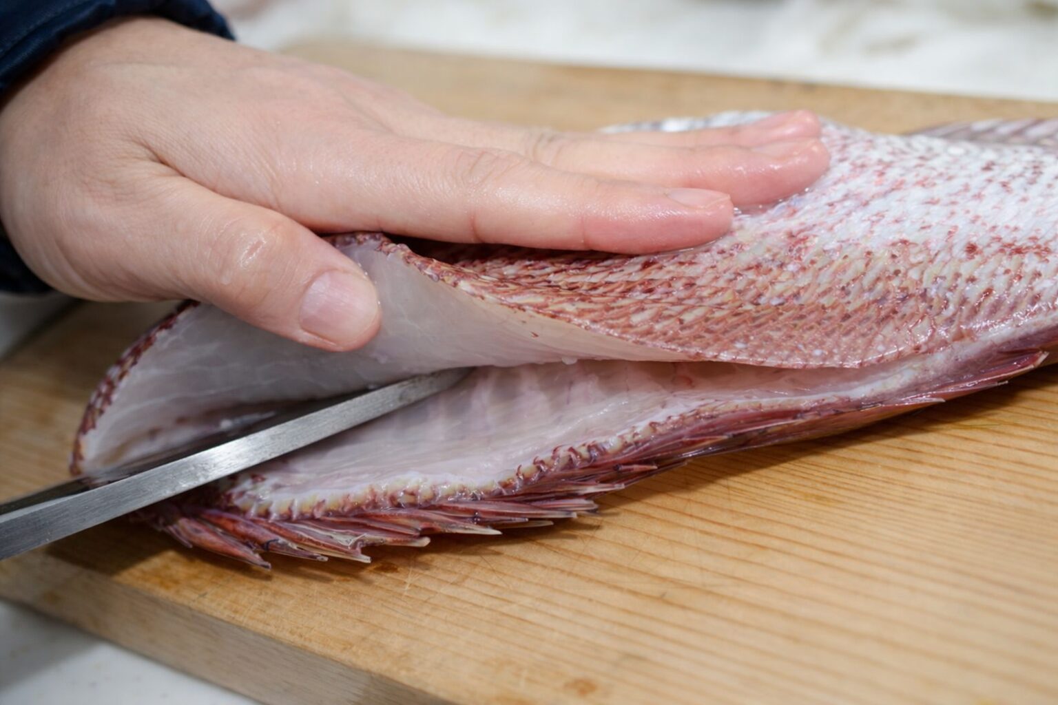 손에 밴 생선냄새