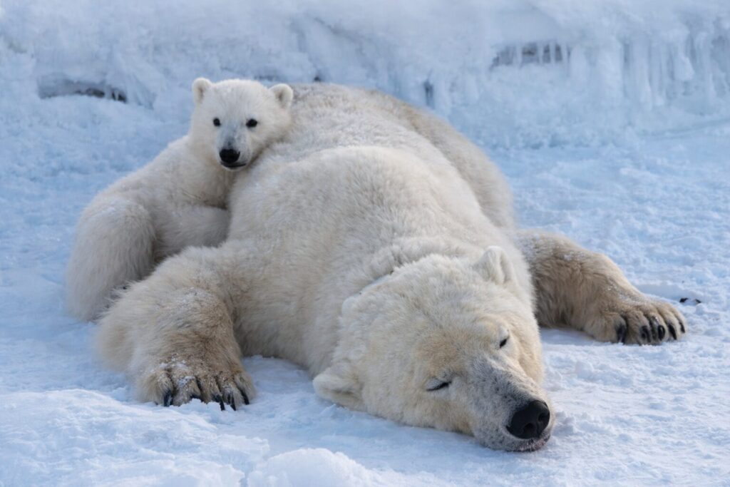 다만 이런 조건이 영원히 유지될 수는 없다