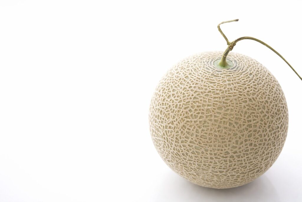 통 멜론을 샀을 때