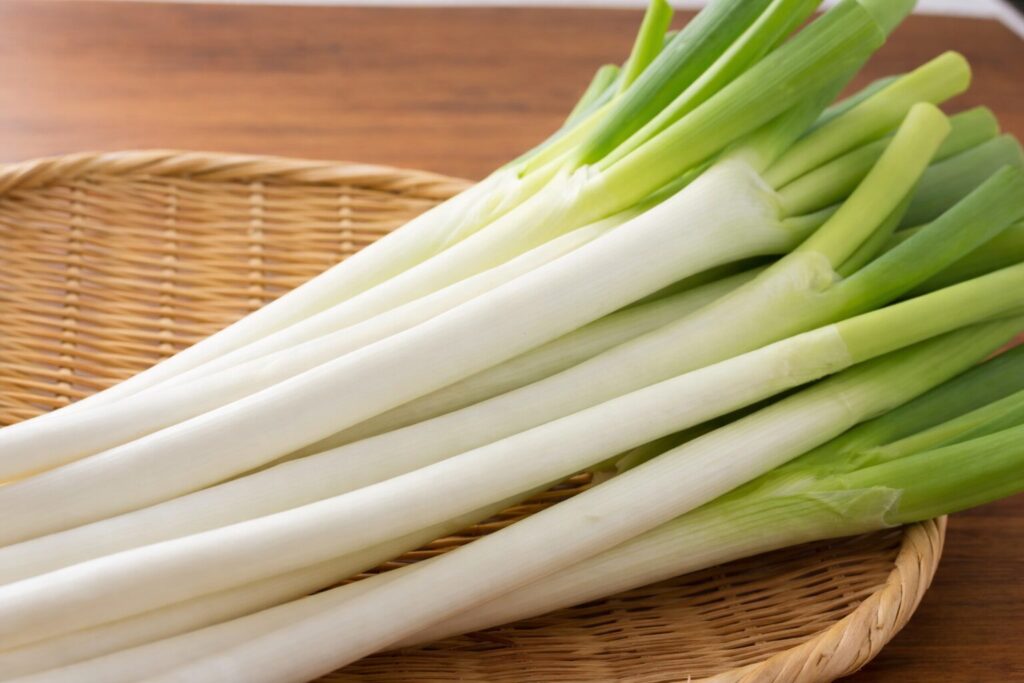 남은 대파요리 버터 간장 볶음