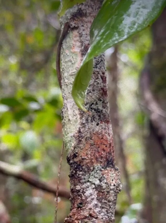 아무리 뚫어져라 쳐다봐도 보이지 않는 너