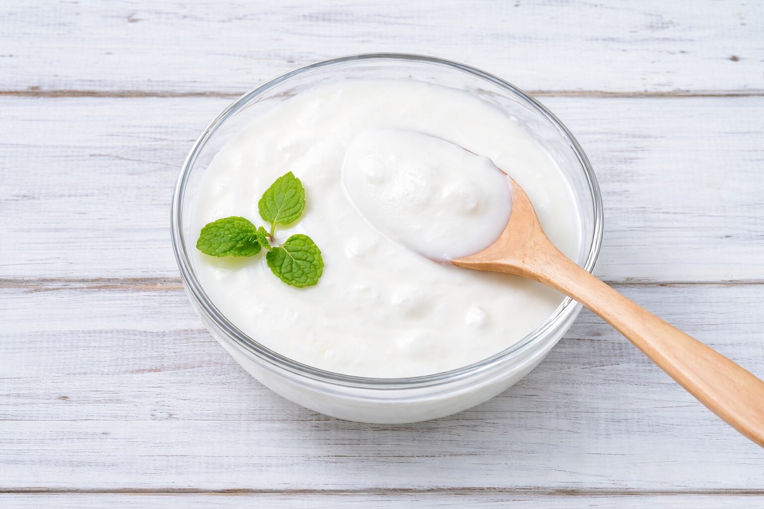 유통기한 지난 요거트