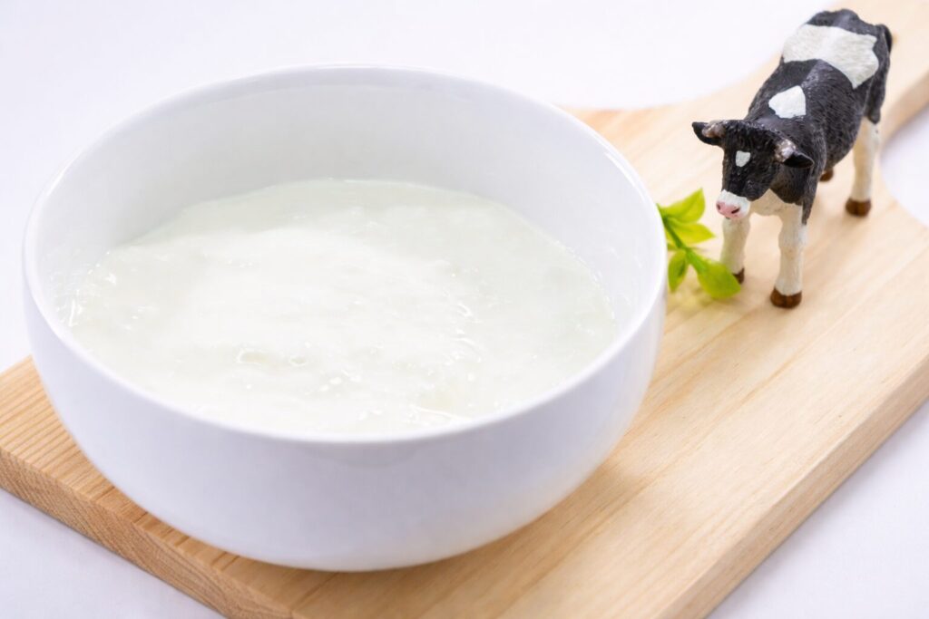 유통기한 지난 요거트, 어디까지 가능할까