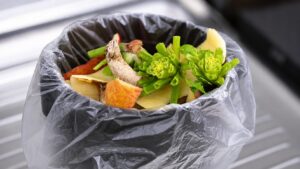 Read more about the article 여름철 음식물쓰레기 냄새 줄이는 간단한 방법 3가지