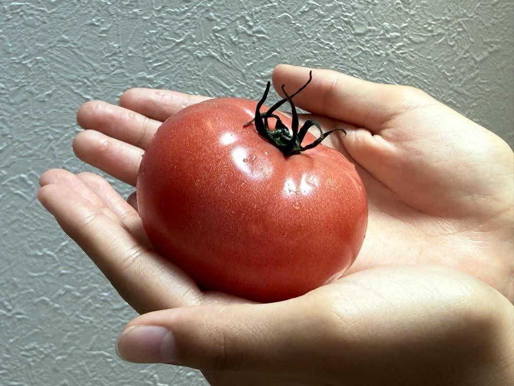 별 모양이 보이면 한번 살펴보자
